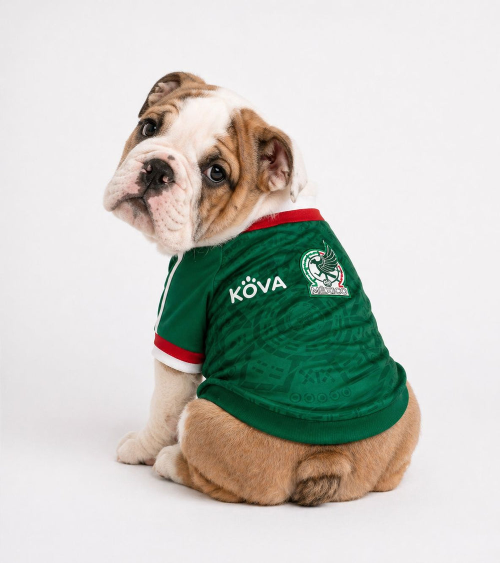 Jersey México — Verde