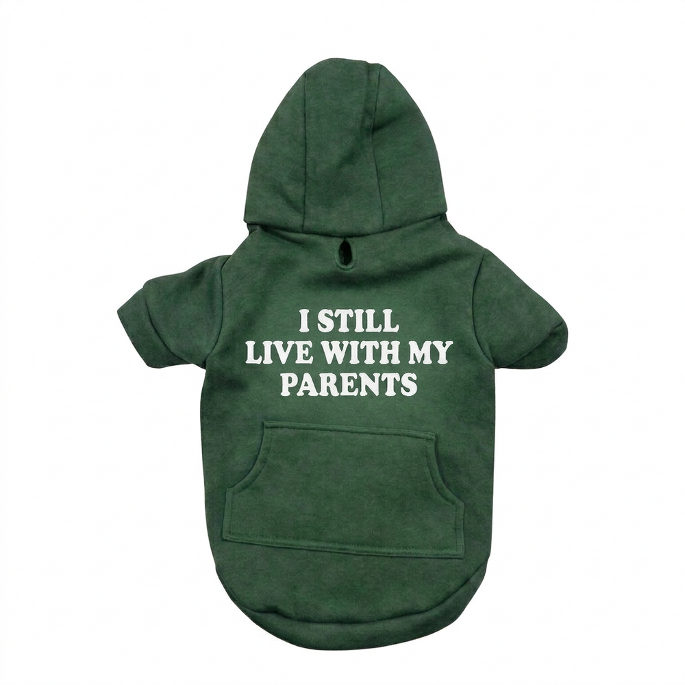 Hoodie Verde — I Still Live With My Parents