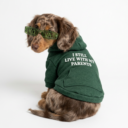 Hoodie verde para perro KOVA con frase llamativa – diseño casual y cómodo
