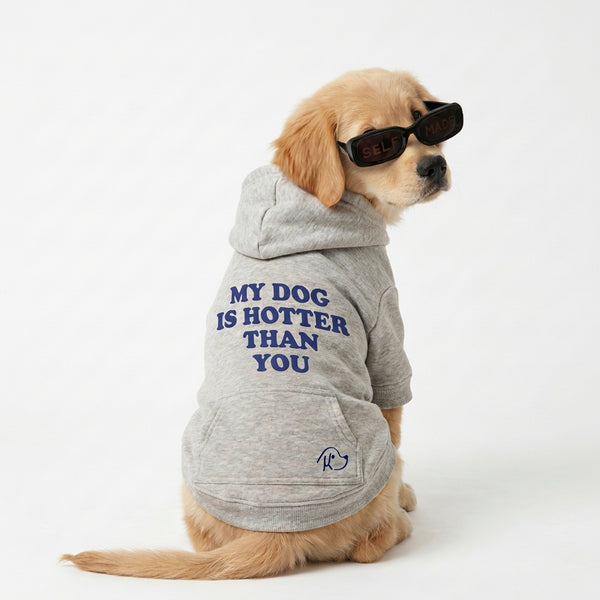 Hoodie Gris — My Dog Is Hotter Than You