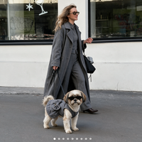 Vestido Park Avenue KOVA para perro color Gris - vista 2