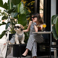 Vestido Costa KOVA para perro color Navy — vista 3