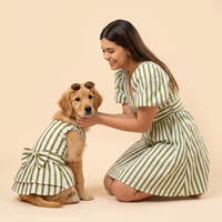 Vestido Costa KOVA para perro color Oro — vista 3