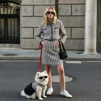 Vestido Elegante KOVA para perro — vista 3