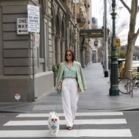 Camisa Monaco KOVA para perro color Verde - vista 3