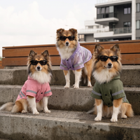 Impermeable KOVA para perro — Verde, Rosa y Morado juntos