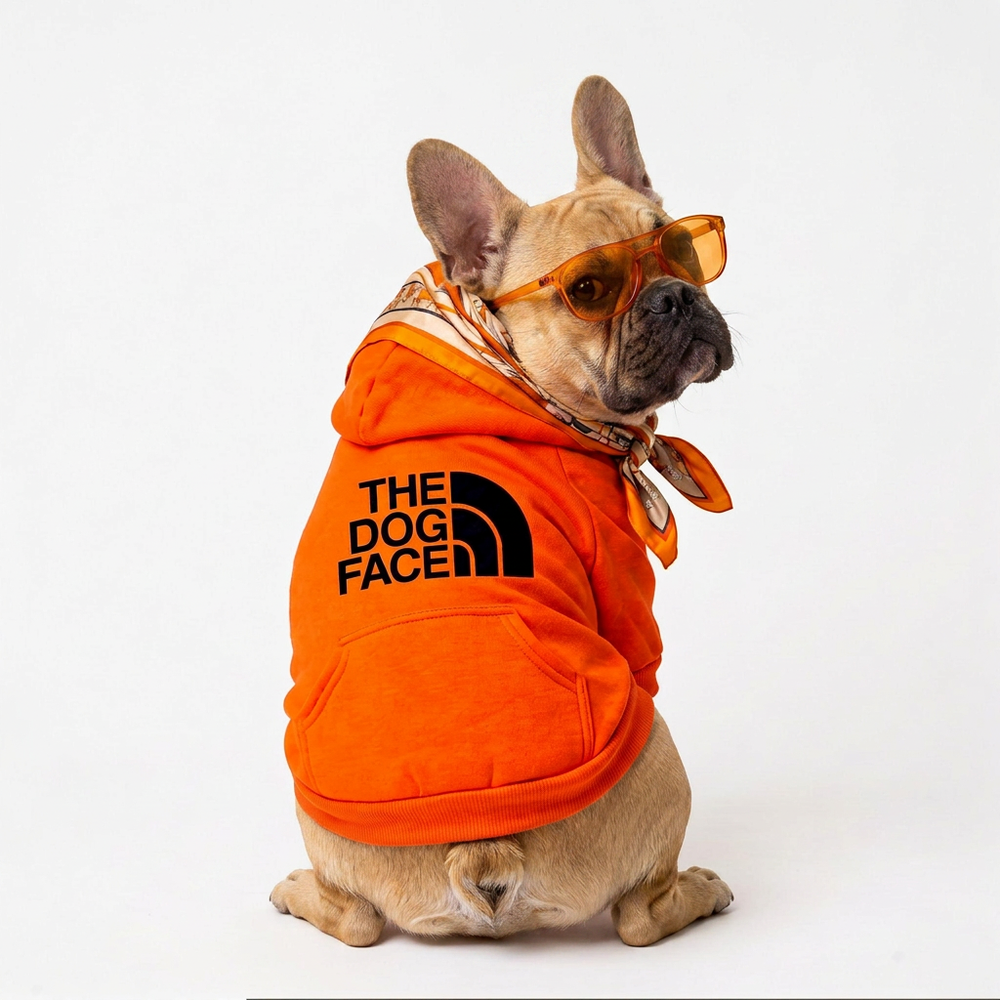 Hoodie Naranja — The Dog Face